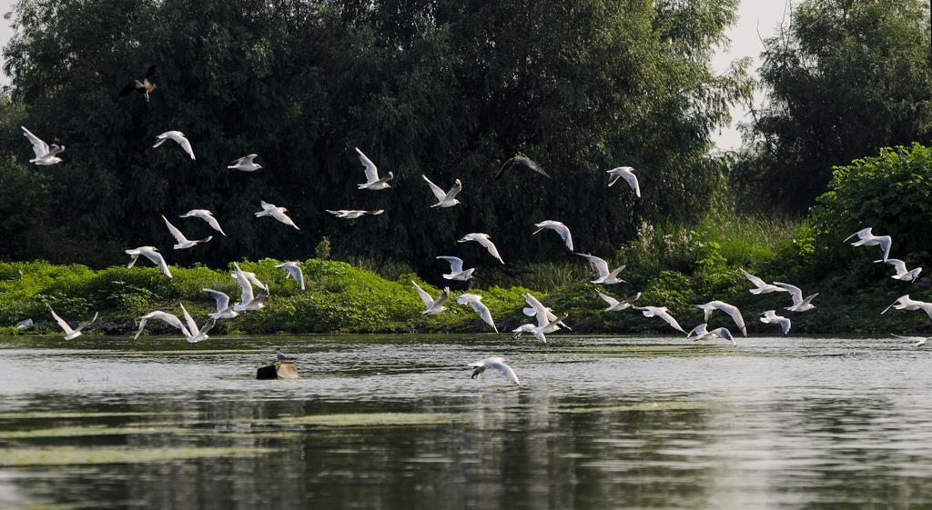 Vila Delta Travel - Mila 23 Mila Douăzeci şi Trei Exterior foto