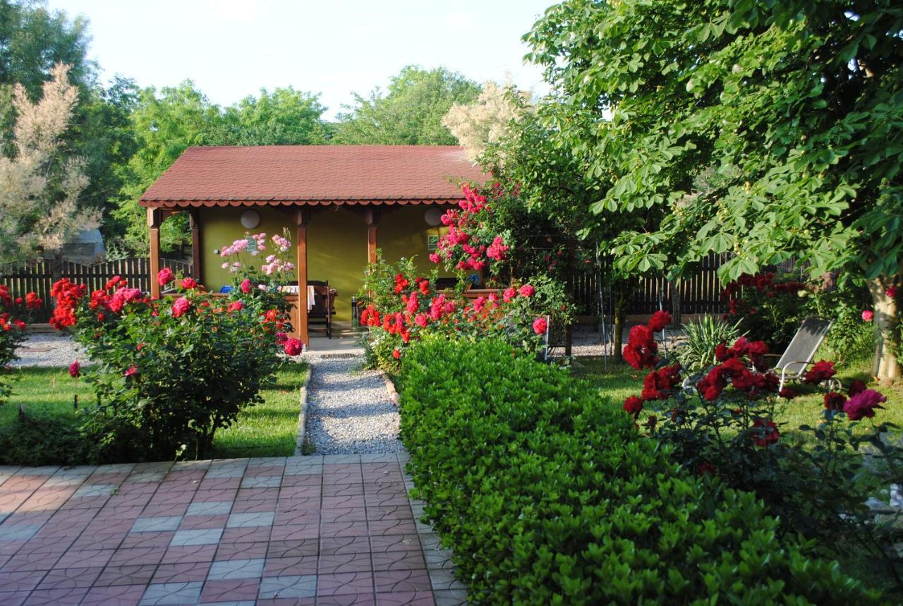 Vila Delta Travel - Mila 23 Mila Douăzeci şi Trei Exterior foto